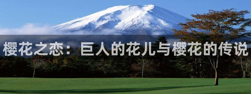 奇漫屋下载