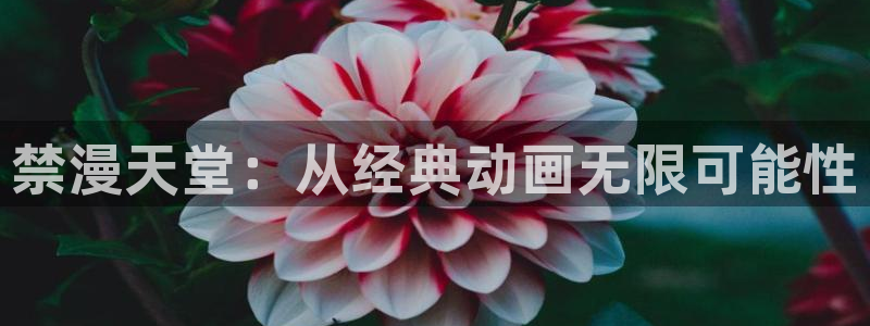 colamanage漫画官网