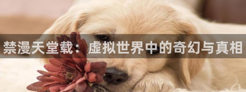 奇漫屋官网网址