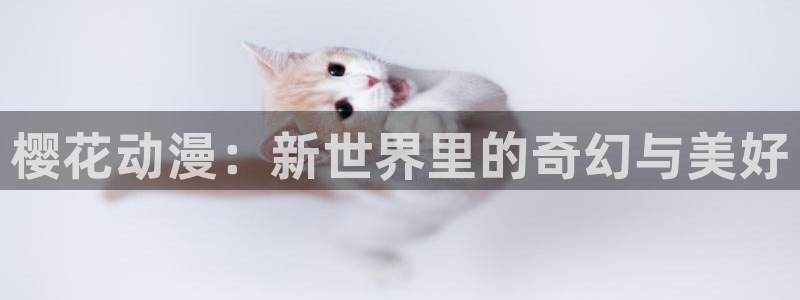 韩国漫画平台kakaopage