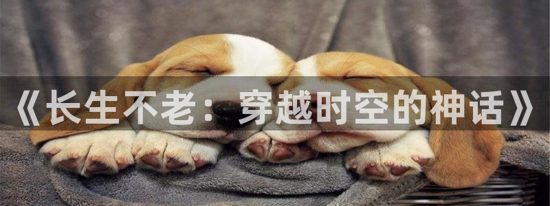 拷贝漫画 copymanager.ory网站