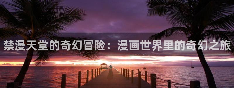 拷贝漫画 copymanager.ory网站