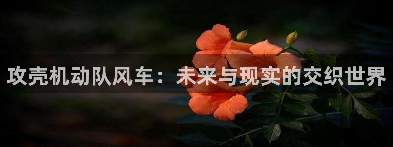 奇漫屋官网在线入口