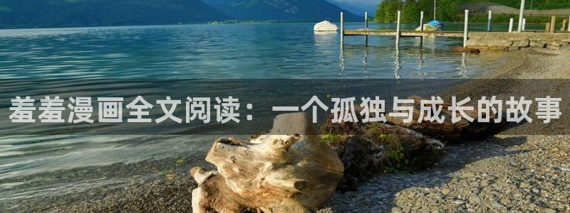 age专注动漫的门户网站