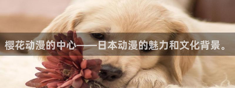 奇漫屋正版网