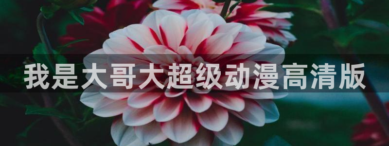 age樱花动漫