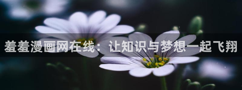 colomanage漫画官网：羞羞漫画网在线：让知识与梦想一起飞翔